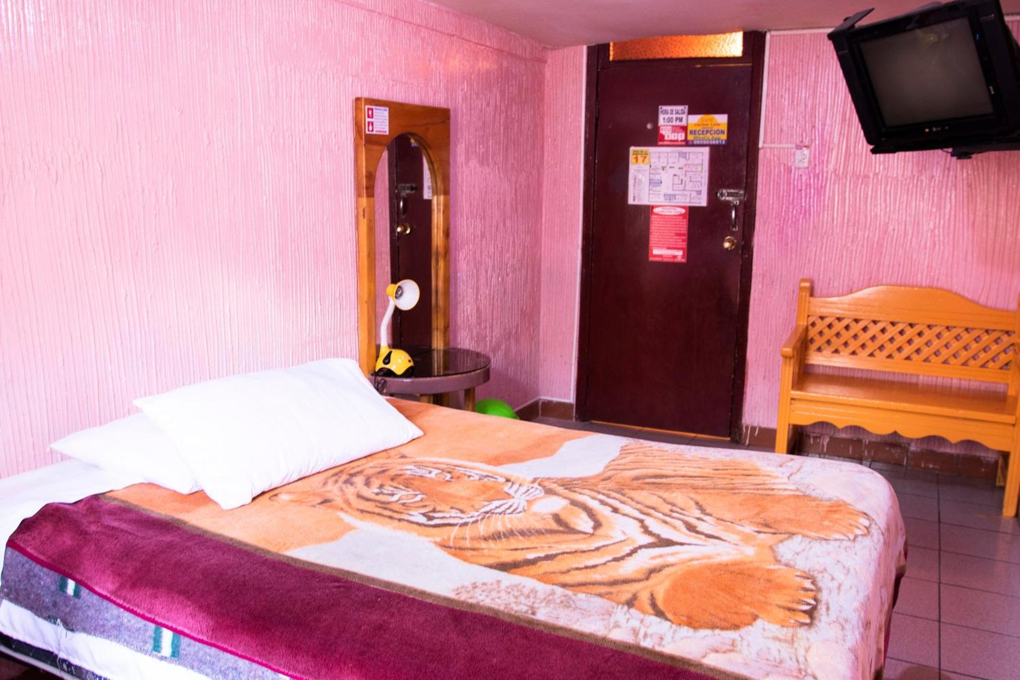 Hostal Carlos Luis Quito Ngoại thất bức ảnh